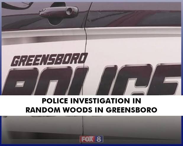 1 hurt in shooting in Random Woods in Greensboro — Greensboro Police vehicle at scene